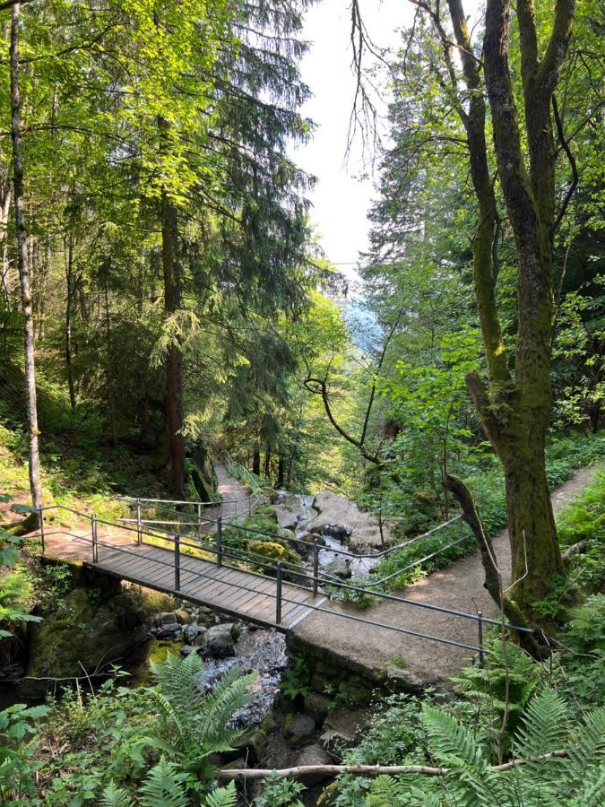Bollenlodge - Ferienwohnung Mit Ausblick Und Top Lage Todtnau Esterno foto